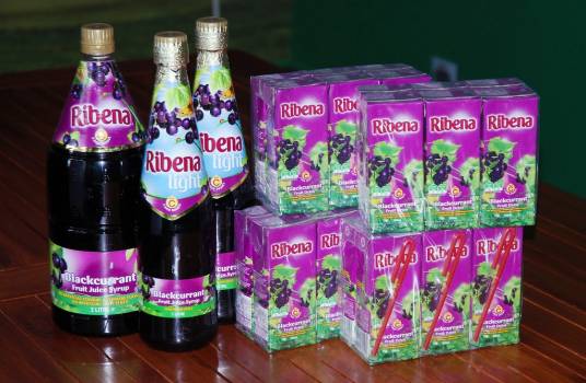 Ribena Original Blackcurrant Drink