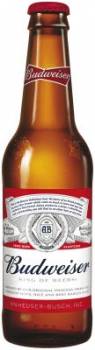 1728 cases Budweiser 24x330ml bottles 5% Twist-Off cap (UK origin)