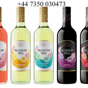 Blossom Hill Wines