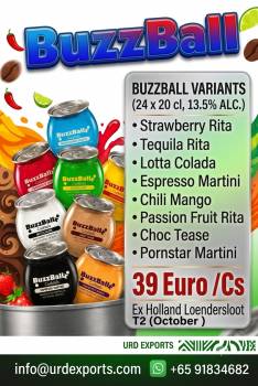 BUZZBALL STRAWBERRY RITA /TEQUILA /COLADA /ESPRESSO /CHILI MANGO /PASION FRUIT /CHOC TEASE/24 x 20 cl. 13.5%