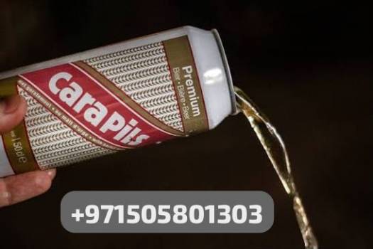 CARAPILS