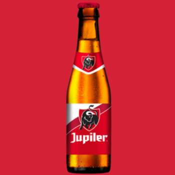 Looking Jupiler 355ml & 500ml