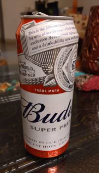 Budweiser 50cl beer