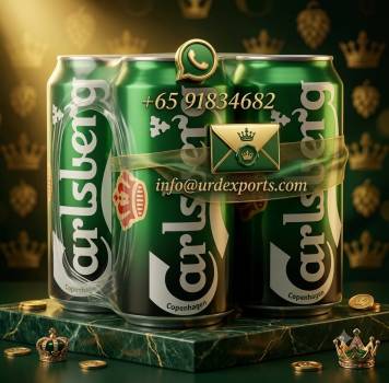 CARLSBERG 50 CL CANSx 5%